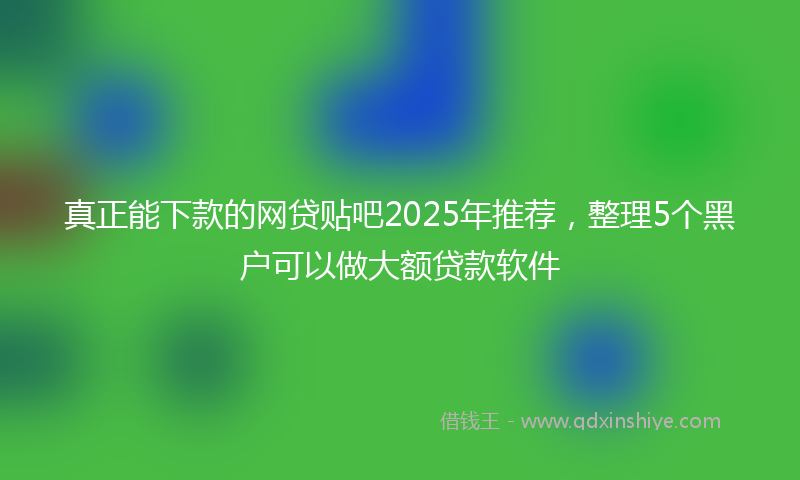 真正能下款的网贷贴吧2025年推荐，整理5个黑户可以做大额贷款软件
