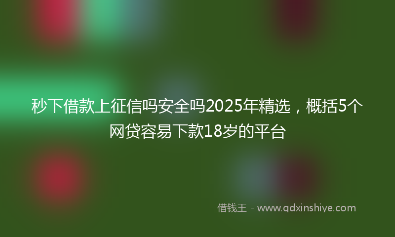 秒下借款上征信吗安全吗2025年精选，概括5个网贷容易下款18岁的平台