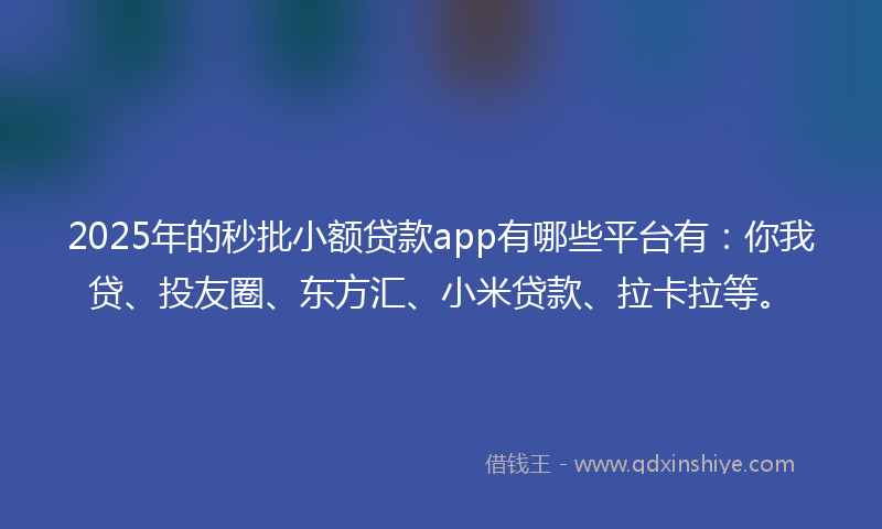 2025年的秒批小额贷款app有哪些平台有：你我贷、投友圈、东方汇、小米贷款、拉卡拉等。