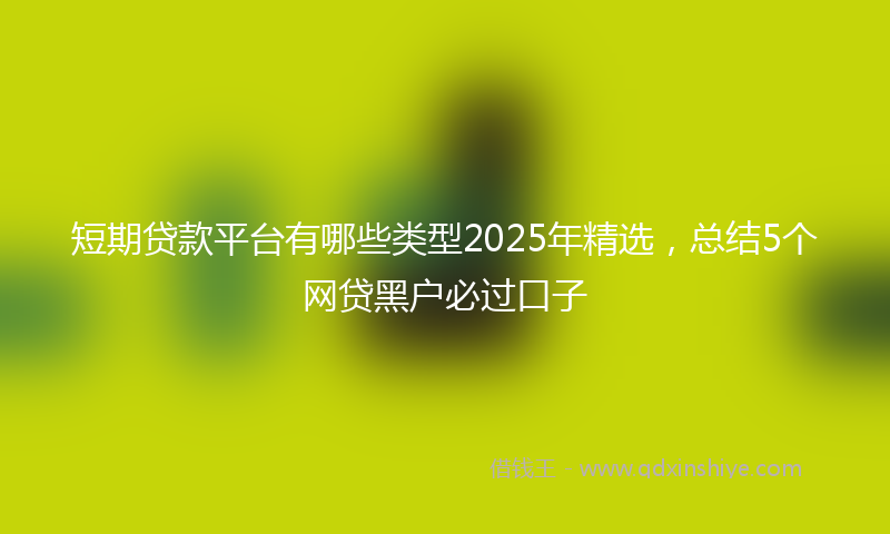 短期贷款平台有哪些类型2025年精选，总结5个网贷黑户必过口子