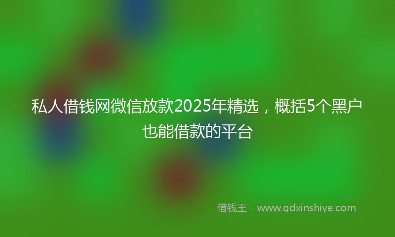 私人借钱网微信放款2025年精选，概括5个黑户也能借款的平台