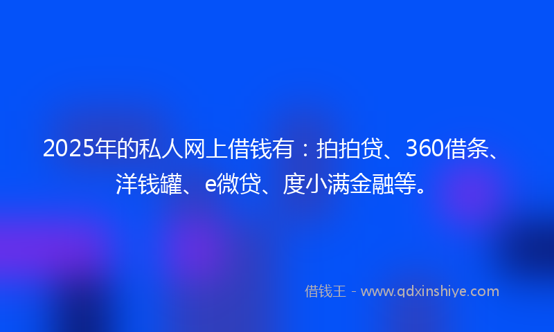 2025年的私人网上借钱有：拍拍贷、360借条、洋钱罐、e微贷、度小满金融等。