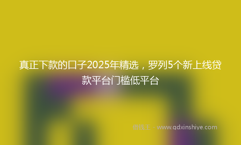真正下款的口子2025年精选,罗列5个新上线贷款平台门槛低平台