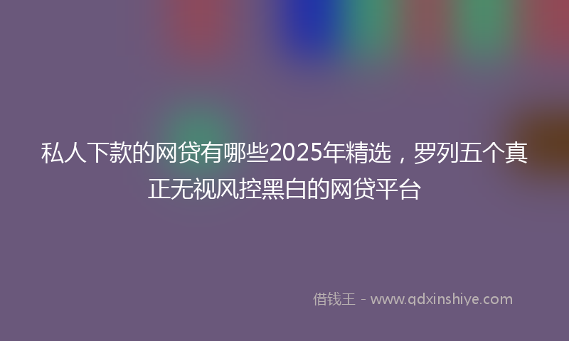 私人下款的网贷有哪些2025年精选，罗列五个真正无视风控黑白的网贷平台