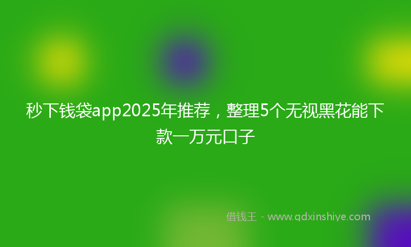 秒下钱袋app2025年推荐，整理5个无视黑花能下款一万元口子