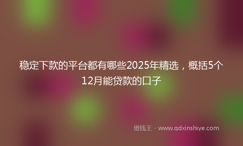 稳定下款的平台都有哪些2025年精选，概括5个12月能贷款的口子