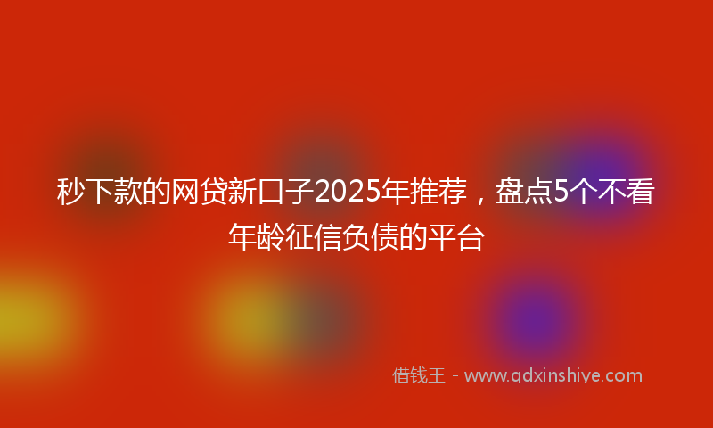 秒下款的网贷新口子2025年推荐，盘点5个不看年龄征信负债的平台