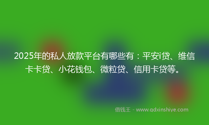 2025年的私人放款平台有哪些有：平安i贷、维信卡卡贷、小花钱包、微粒贷、信用卡贷等。
