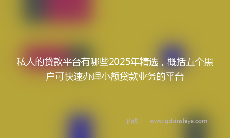 私人的贷款平台有哪些2025年精选，概括五个黑户可快速办理小额贷款业务的平台