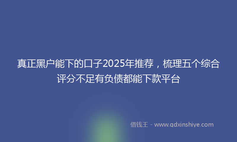 真正黑户能下的口子2025年推荐,梳理五个综合评分不足有负债都能下款平台