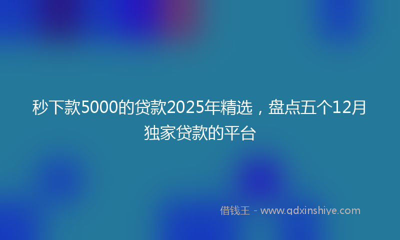 秒下款5000的贷款2025年精选，盘点五个12月独家贷款的平台