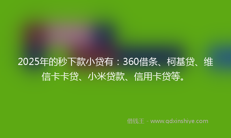 2025年的秒下款小贷有：360借条、柯基贷、维信卡卡贷、小米贷款、信用卡贷等。