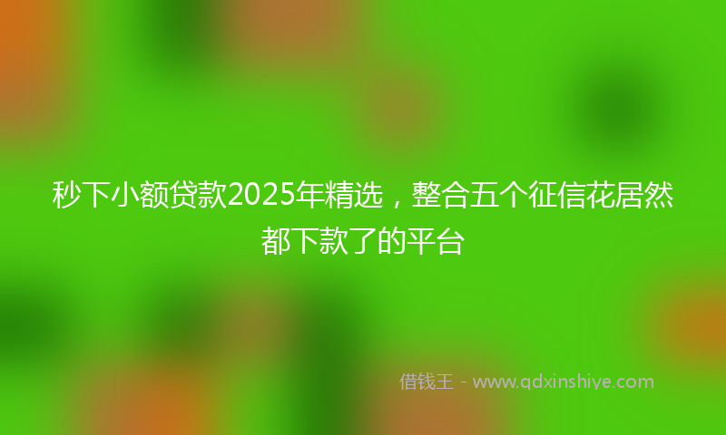 秒下小额贷款2025年精选，整合五个征信花居然都下款了的平台