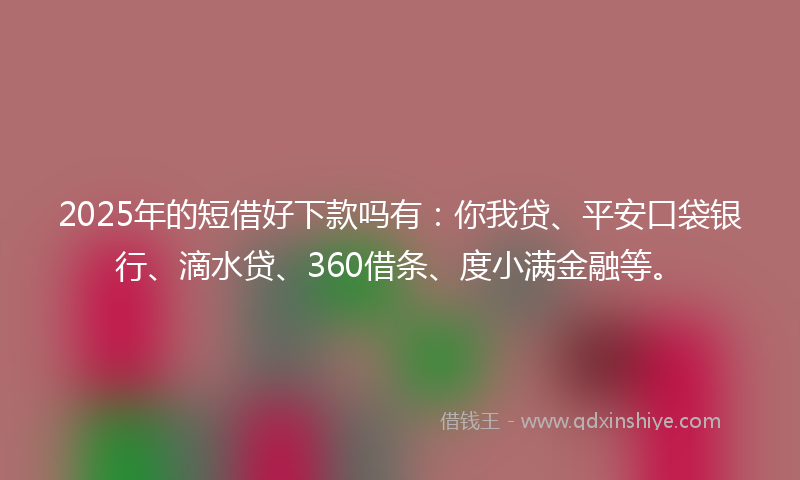 2025年的短借好下款吗有：你我贷、平安口袋银行、滴水贷、360借条、度小满金融等。
