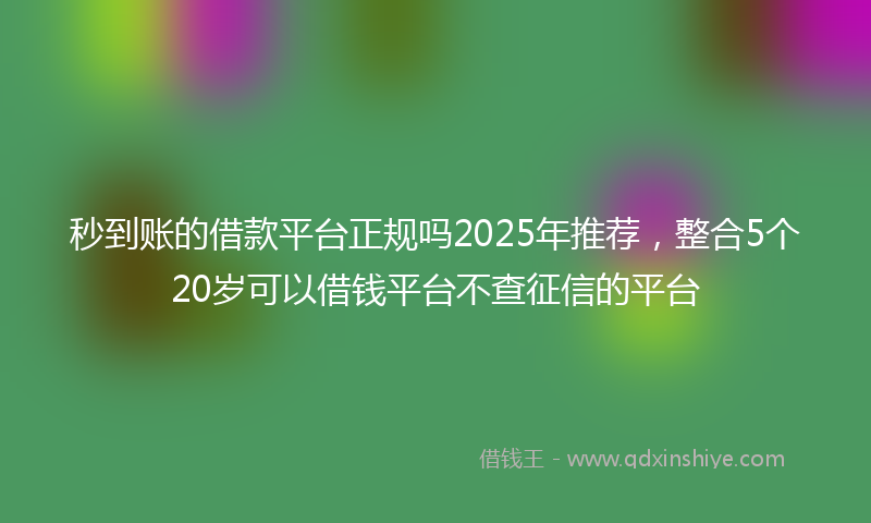 秒到账的借款平台正规吗2025年推荐，整合5个20岁可以借钱平台不查征信的平台
