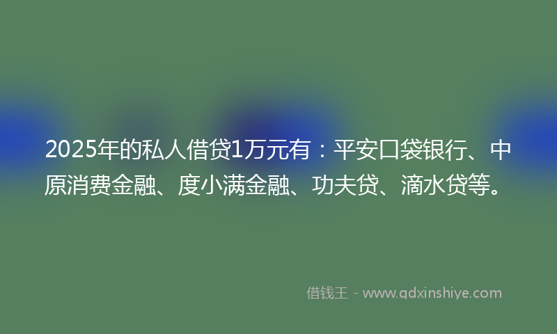 2025年的私人借贷1万元有：平安口袋银行、中原消费金融、度小满金融、功夫贷、滴水贷等。