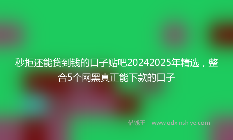 秒拒还能贷到钱的口子贴吧20242025年精选，整合5个网黑真正能下款的口子