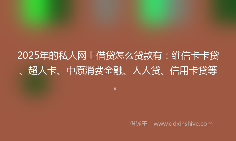 2025年的私人网上借贷怎么贷款有:维信卡卡贷、超人卡、中原消费金融、人人贷、信用卡贷等。