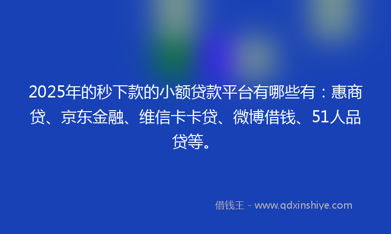 2025年的秒下款的小额贷款平台有哪些有：惠商贷、京东金融、维信卡卡贷、微博借钱、51人品贷等。