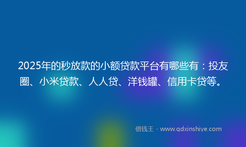 2025年的秒放款的小额贷款平台有哪些有：投友圈、小米贷款、人人贷、洋钱罐、信用卡贷等。