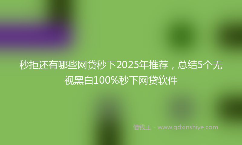 秒拒还有哪些网贷秒下2025年推荐，总结5个无视黑白100%秒下网贷软件