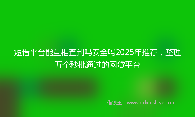 短借平台能互相查到吗安全吗2025年推荐，整理五个秒批通过的网贷平台