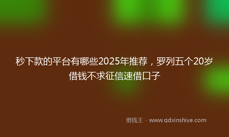 秒下款的平台有哪些2025年推荐，罗列五个20岁借钱不求征信速借口子