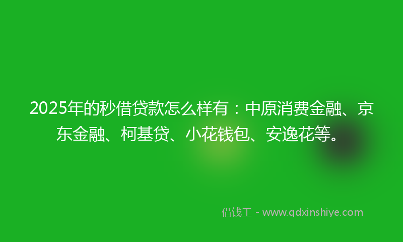 2025年的秒借贷款怎么样有：中原消费金融、京东金融、柯基贷、小花钱包、安逸花等。