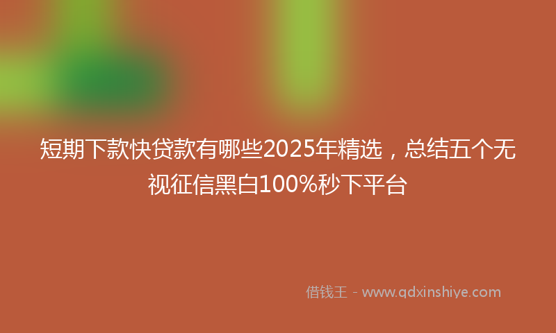 短期下款快贷款有哪些2025年精选，总结五个无视征信黑白100%秒下平台