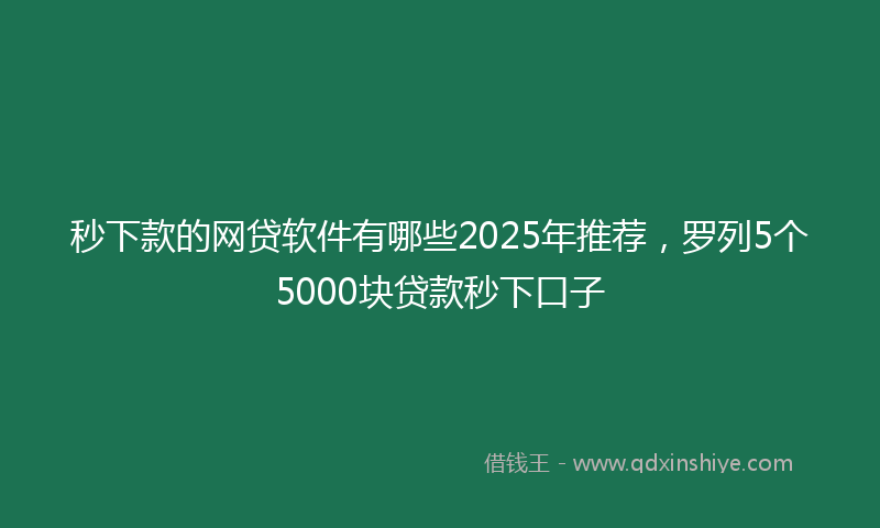 秒下款的网贷软件有哪些2025年推荐，罗列5个5000块贷款秒下口子