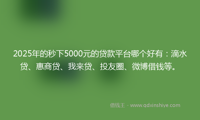 2025年的秒下5000元的贷款平台哪个好有：滴水贷、惠商贷、我来贷、投友圈、微博借钱等。