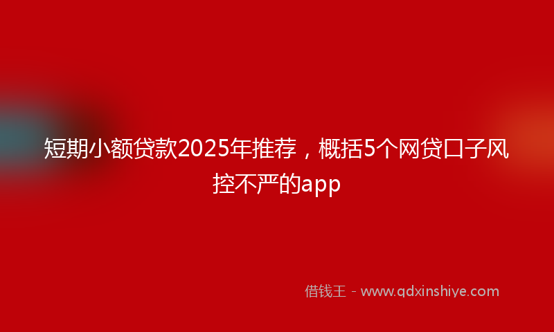 短期小额贷款2025年推荐，概括5个网贷口子风控不严的app