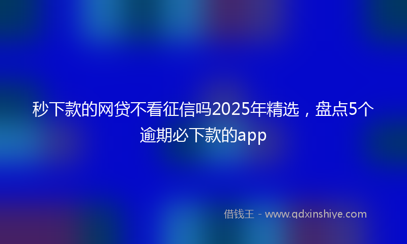 秒下款的网贷不看征信吗2025年精选，盘点5个逾期必下款的app