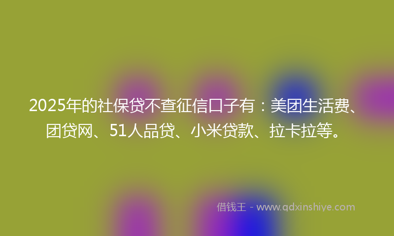 2025年的社保贷不查征信口子有：美团生活费、团贷网、51人品贷、小米贷款、拉卡拉等。