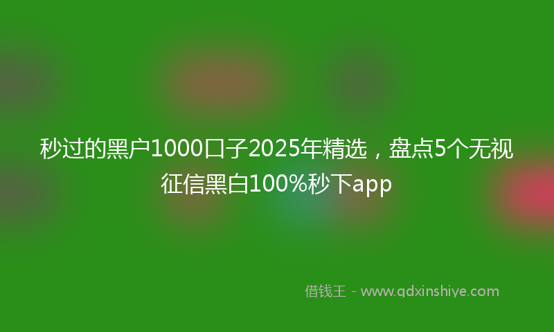 秒过的黑户1000口子2025年精选，盘点5个无视征信黑白100%秒下app