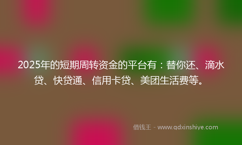 2025年的短期周转资金的平台有：替你还、滴水贷、快贷通、信用卡贷、美团生活费等。