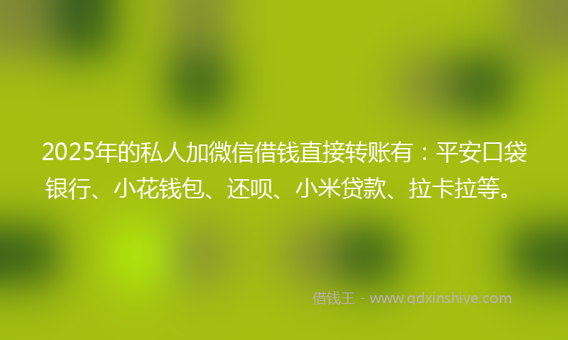 2025年的私人加微信借钱直接转账有：平安口袋银行、小花钱包、还呗、小米贷款、拉卡拉等。