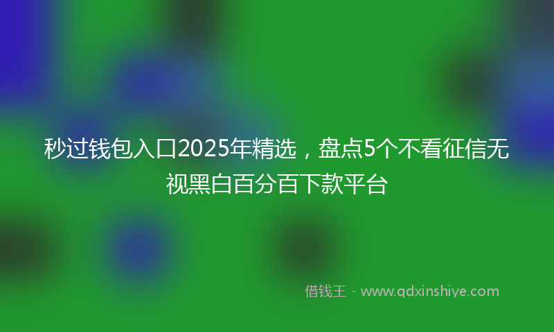 秒过钱包入口2025年精选，盘点5个不看征信无视黑白百分百下款平台