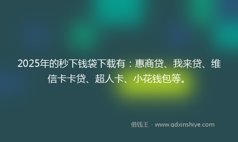 2025年的秒下钱袋下载有：惠商贷、我来贷、维信卡卡贷、超人卡、小花钱包等。