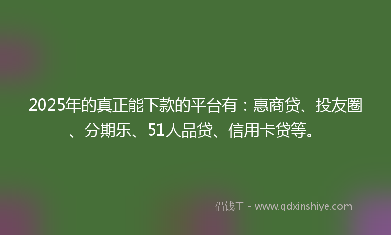 2025年的真正能下款的平台有：惠商贷、投友圈、分期乐、51人品贷、信用卡贷等。