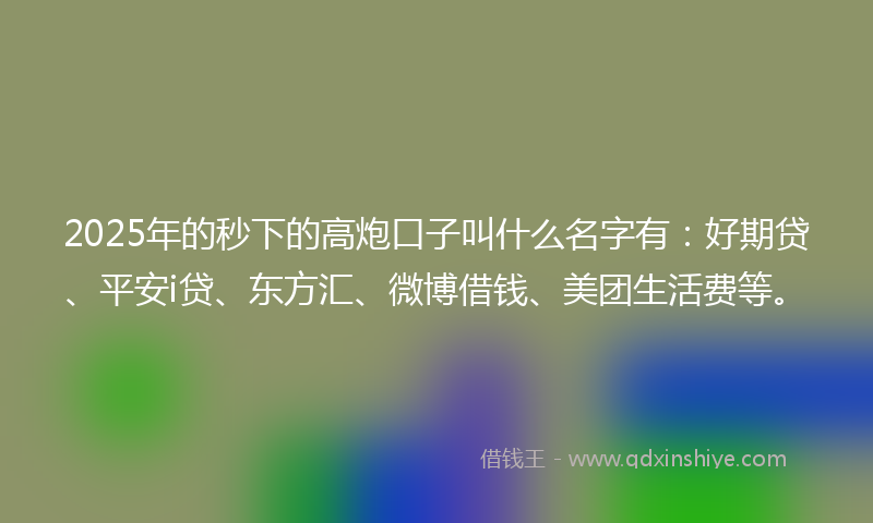 2025年的秒下的高炮口子叫什么名字有：好期贷、平安i贷、东方汇、微博借钱、美团生活费等。
