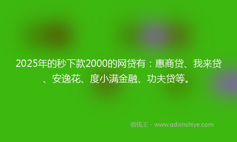 2025年的秒下款2000的网贷有：惠商贷、我来贷、安逸花、度小满金融、功夫贷等。