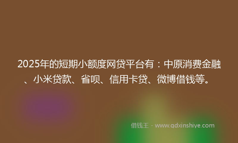 2025年的短期小额度网贷平台有：中原消费金融、小米贷款、省呗、信用卡贷、微博借钱等。