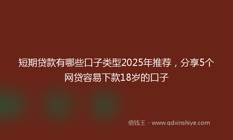 短期贷款有哪些口子类型2025年推荐，分享5个网贷容易下款18岁的口子