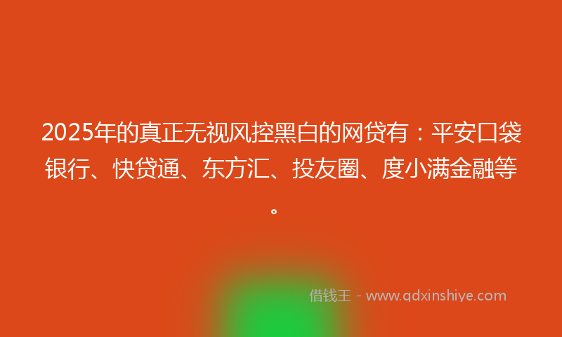 2025年的真正无视风控黑白的网贷有：平安口袋银行、快贷通、东方汇、投友圈、度小满金融等。