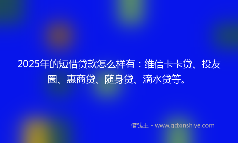 2025年的短借贷款怎么样有：维信卡卡贷、投友圈、惠商贷、随身贷、滴水贷等。