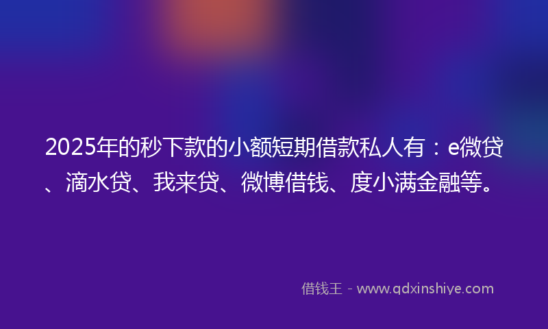 2025年的秒下款的小额短期借款私人有：e微贷、滴水贷、我来贷、微博借钱、度小满金融等。