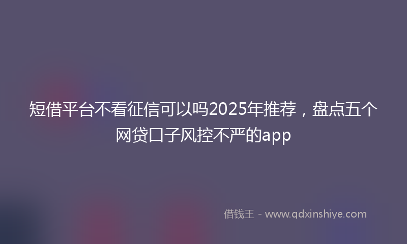 短借平台不看征信可以吗2025年推荐，盘点五个网贷口子风控不严的app