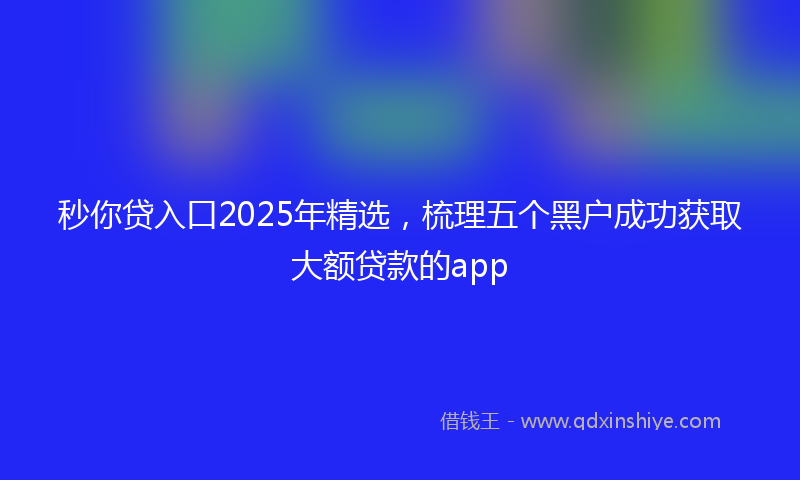 秒你贷入口2025年精选，梳理五个黑户成功获取大额贷款的app