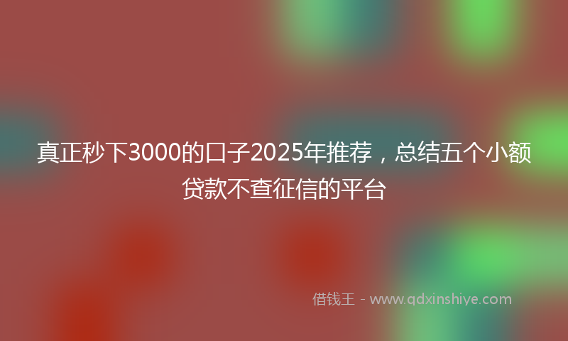 真正秒下3000的口子2025年推荐,总结五个小额贷款不查征信的平台